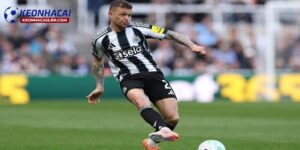 Nhận định Newcastle vs West Brom